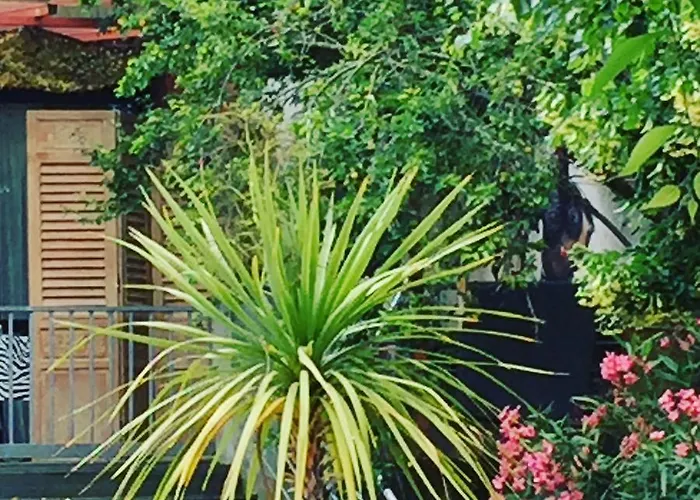 Shandita Bed & Breakfast